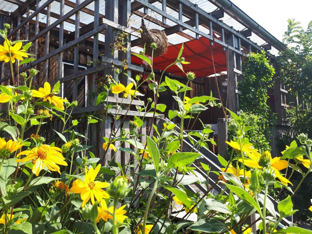 Holzhaus Mit Gruener Aussicht Zum Erholen Villa Burgheim Екстериор снимка